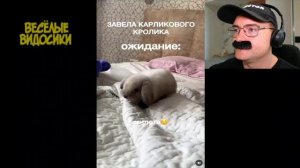 олеже смешные видосики