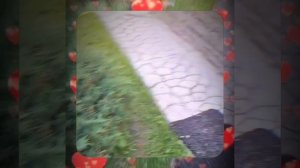 1000067198.mp4 (Собака слушает о идеальных параметрах деревян. лестницы на 2-ой этаж в доме А-фрейм)