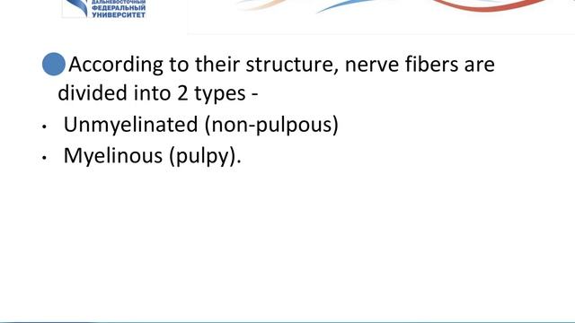 9 Neural Tissue And Spinal Cord