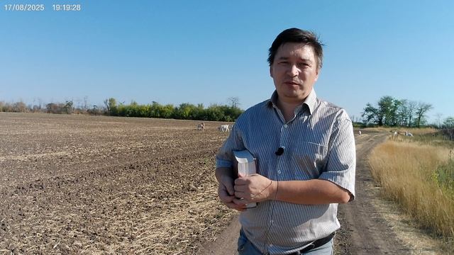 Иисус Навин и гаваонитяне