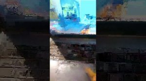 роблакс больница для животных