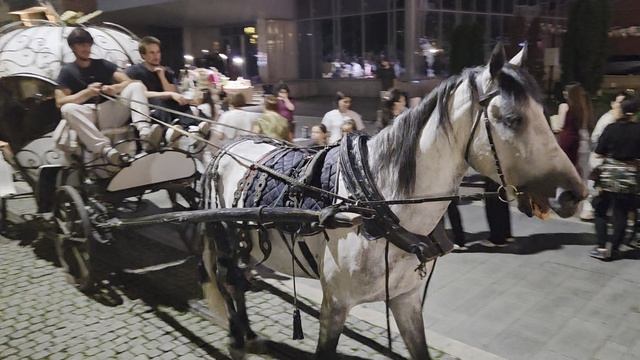 Проспект Владикавказ лето2026