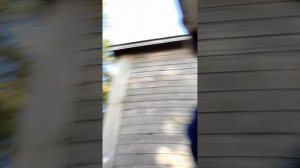 влог на летнюю избушку 4