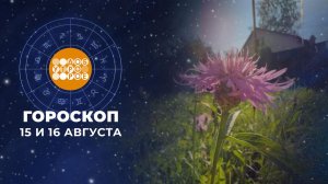 Гороскоп на 15 и 16 августа. Доброе утро. Суббота. Фрагмент выпуска от 15.08.2026