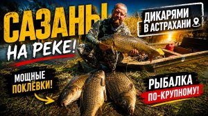 САЗАН УТАЩИЛ УДОЧКУ! РЫБАЛКА ДИКАРЯМИ В АСТРАХАНИ НА ДИКИХ ОСТРАВАХ 2026! Рыбалка с ночевой!