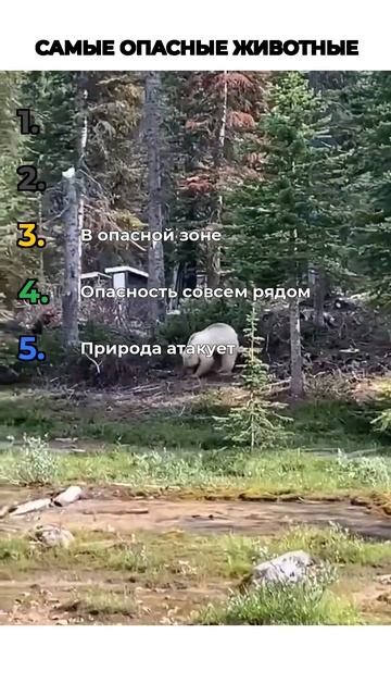 САМЫЕ ОПАСНЫЕ ЖИВОТНЫЕ
