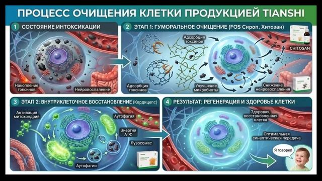 ЧАС ЗДОРОВЬЯ от 15.08.26