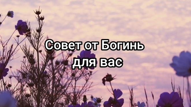 ✨Вам совет от Богинь🤗💍