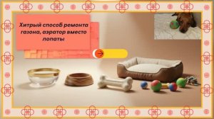 Хитрый способ ремонта газона собственными руками, аэратор и такса вместо лопаты