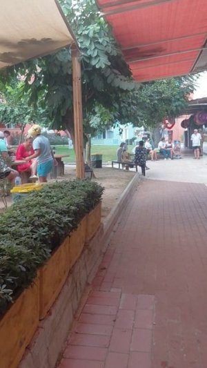 Armas green fugla beach 5