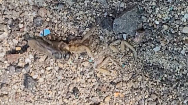 1001313667.mp4