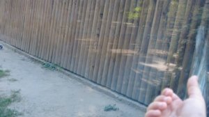3 Сын мой твой мир твоё окружение ПИКАНТ PIKANT