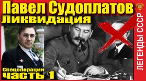 ЛИКВИДАЦИЯ КОНОВАЛЬЦА. ПАВЕЛ СУДОПЛАТОВ.ЧАСТЬ 1