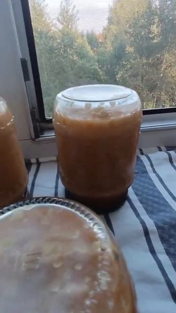 Настоящая кабачковая икра на зиму готова
