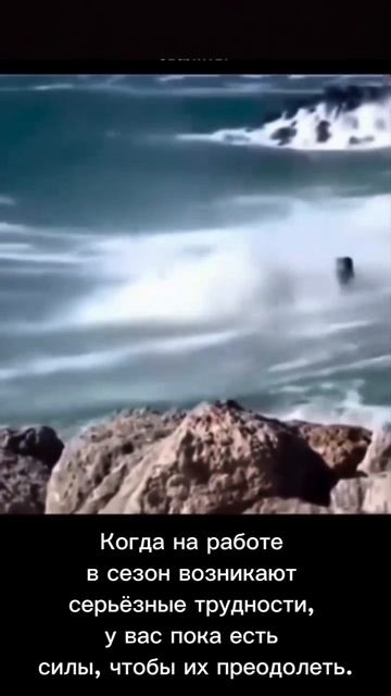 работа #работа #юмор #хасанстан #злойповар #общепит