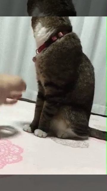БЫВАЕТ