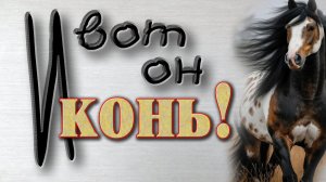 Скатная кровля //  Конек на крышу //  Как сделать конек на крышу