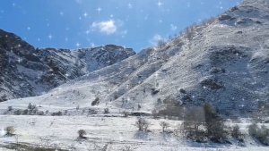 СНЕГ КРУЖИТСЯ, ЛЕТАЕТ