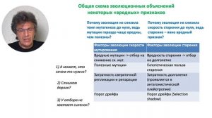 Часть 2 Эволюция старения и долголетия, или Почему люди стареют?