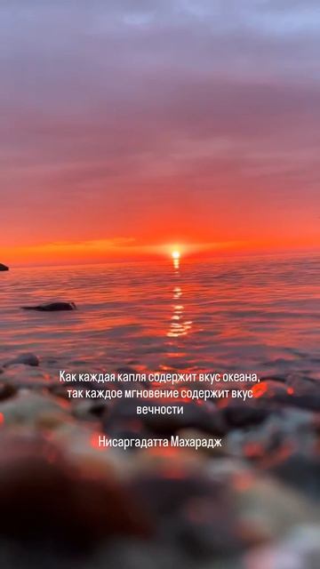 Практикуй каждый день с нами в йога-турах, ретритах и авторских путешествиях! Цитата на сегодня!