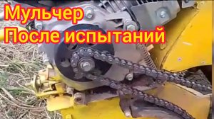 мульчер ботваудалитель для картошки как он себя чувствует после первых испытаний после модернизации