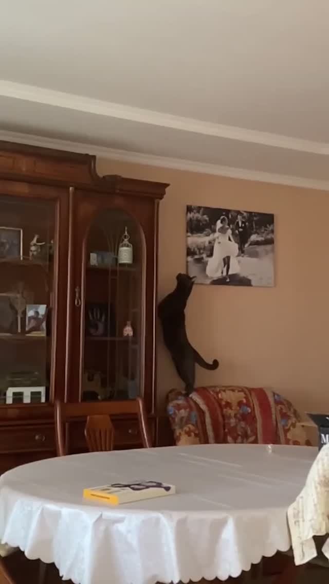 🙀ПРЫЖОКОТА