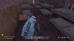 Выживаю в DAYZ