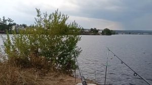 У Людей Песни и Пляски,а Рыба в Шоке,но Акулу Поймали