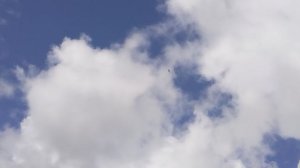 Ястреб 14 июля 2026
