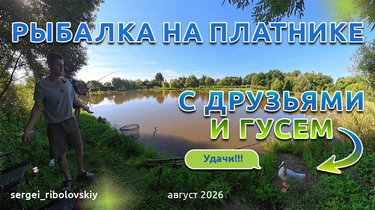 Рыбалка на платнике, на фидер и поплавок, кукуруза🌽🌽🌽 - любимое блюдо карпа!!!