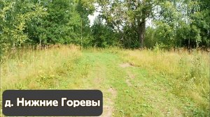 Деревня Нижние Горевы.mp4