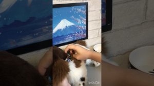 УХОД ЗА СЭНДИ!(не переживайте, видео с Понго тоже будут)|пдб