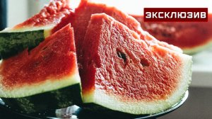 Диетолог Селедцова посоветовала теплую ванну с солью при переедании арбуза