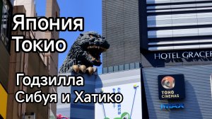 Япония. Токио. Прогулка по городу.