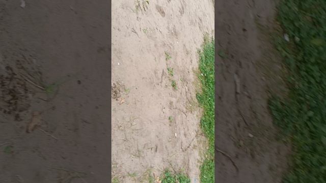 Егор а2 и Тимофэка попали в зомби-апокалипсис в Чернобыль