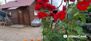 Влог/349/Похолодало/ Перерабатываем урожай..