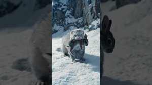 Спецназовец переродился деревенским дураком в 70-е