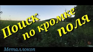 ЩИТ и МЕЧ деда ХАБАРА!!!  Металлокоп!!!