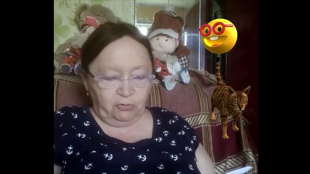 Как я провёл лето. Рассказы старого котика