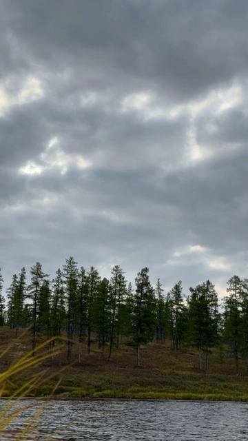 Небо, тучи, облака #крякаемоприроде #Удачный #река