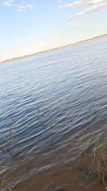 #рыбалка подпишитесь пожалуйста 🙏
