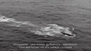 ЖЕЛЕЗО