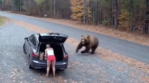Это реально было снято на камеру.