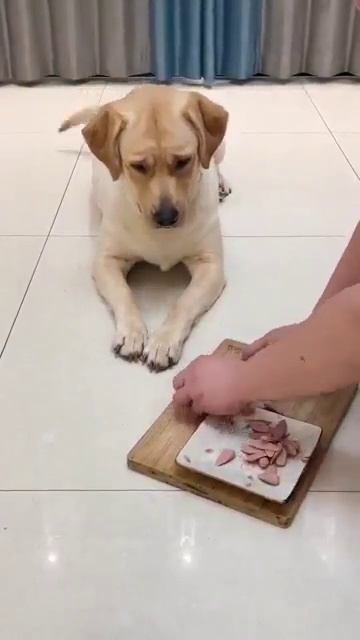 БЫВАЕТ