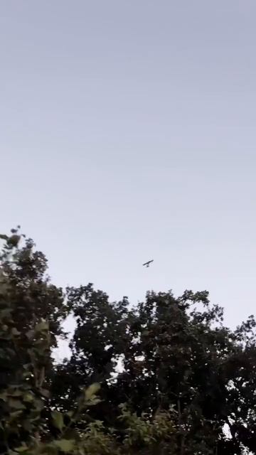 Одно попадание - и жизни спасены💥  Искренняя радость бойца в момент, когда вражеский дрон уничтожен