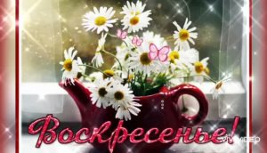 ДОБРОГО ВОСКРЕСНОГО УТРА.