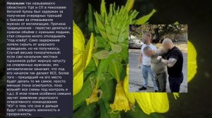 Николаев 15 августа 2026 года (новости)