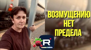 Возмущению нет предела /Деревенский дневник очень многодетной мамы Обзор