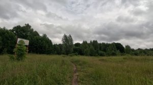гуляю по лесу 26