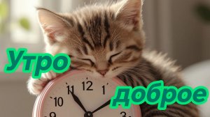 Доброе утро. Пусть день радует и вдохновляет. Самая лучшая музыкальная открытка.